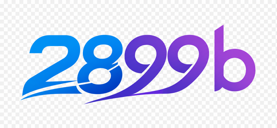 2899b